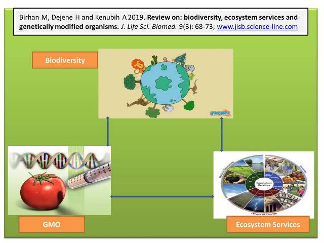 JLSB-Feb21-2019-low-_GMO